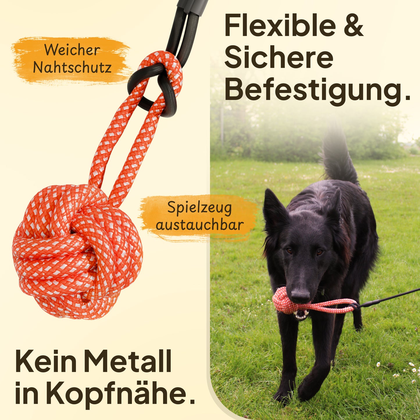 Hundereizangel - für gezieltes Auspowern