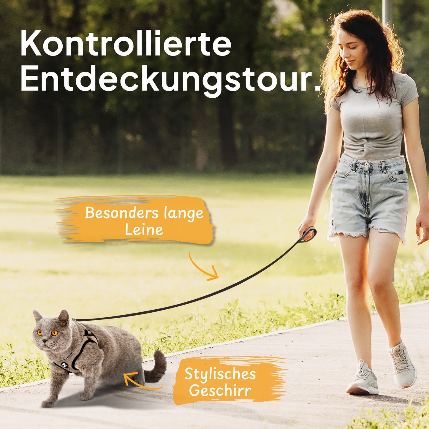 Softgeschirr für Katzen inkl. 1.8m Katzenleine
