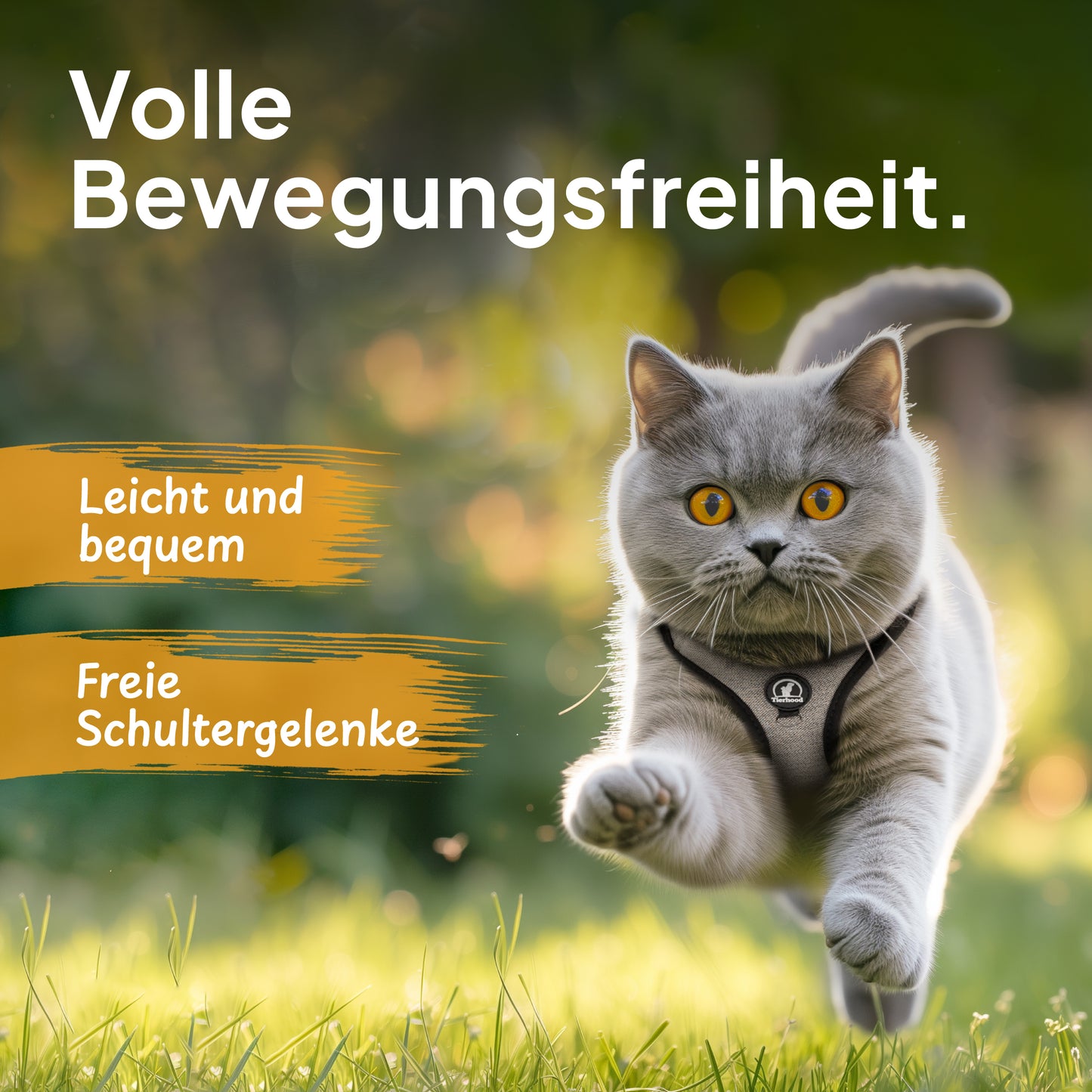 Softgeschirr für Katzen inkl. 1.8m Katzenleine