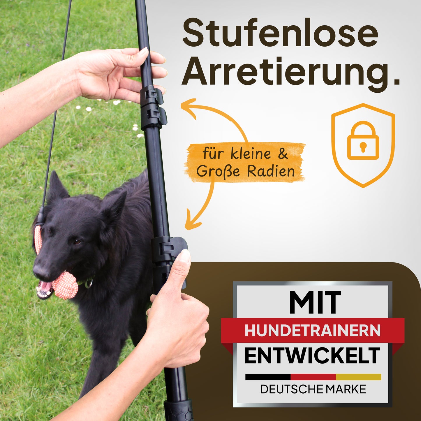 Hundereizangel - für gezieltes Auspowern