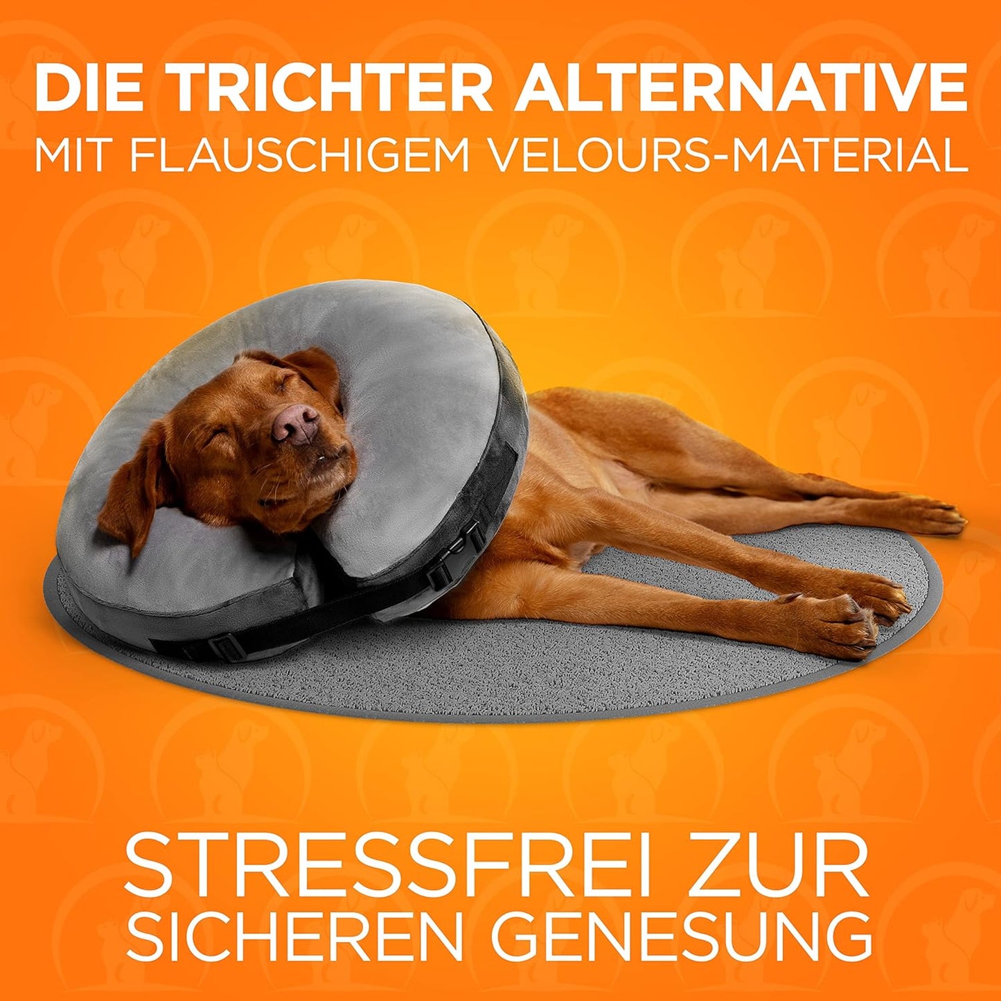Halskrause - für schnelle Genesung