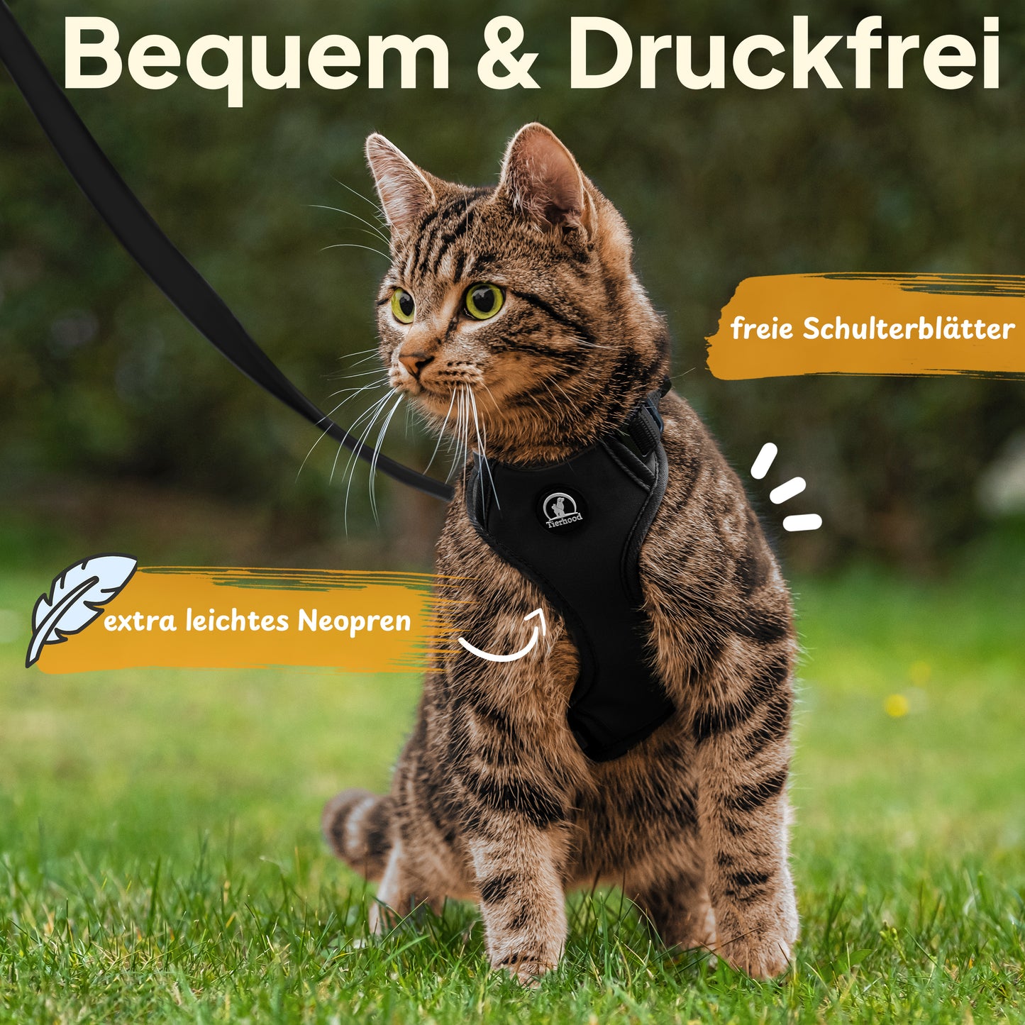 Schwarz