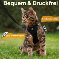 Schwarz