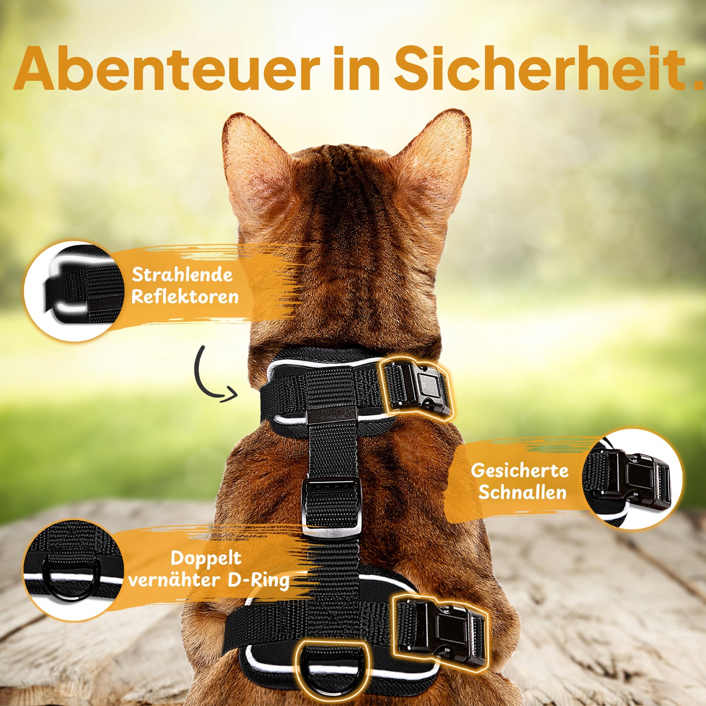 Schwarz