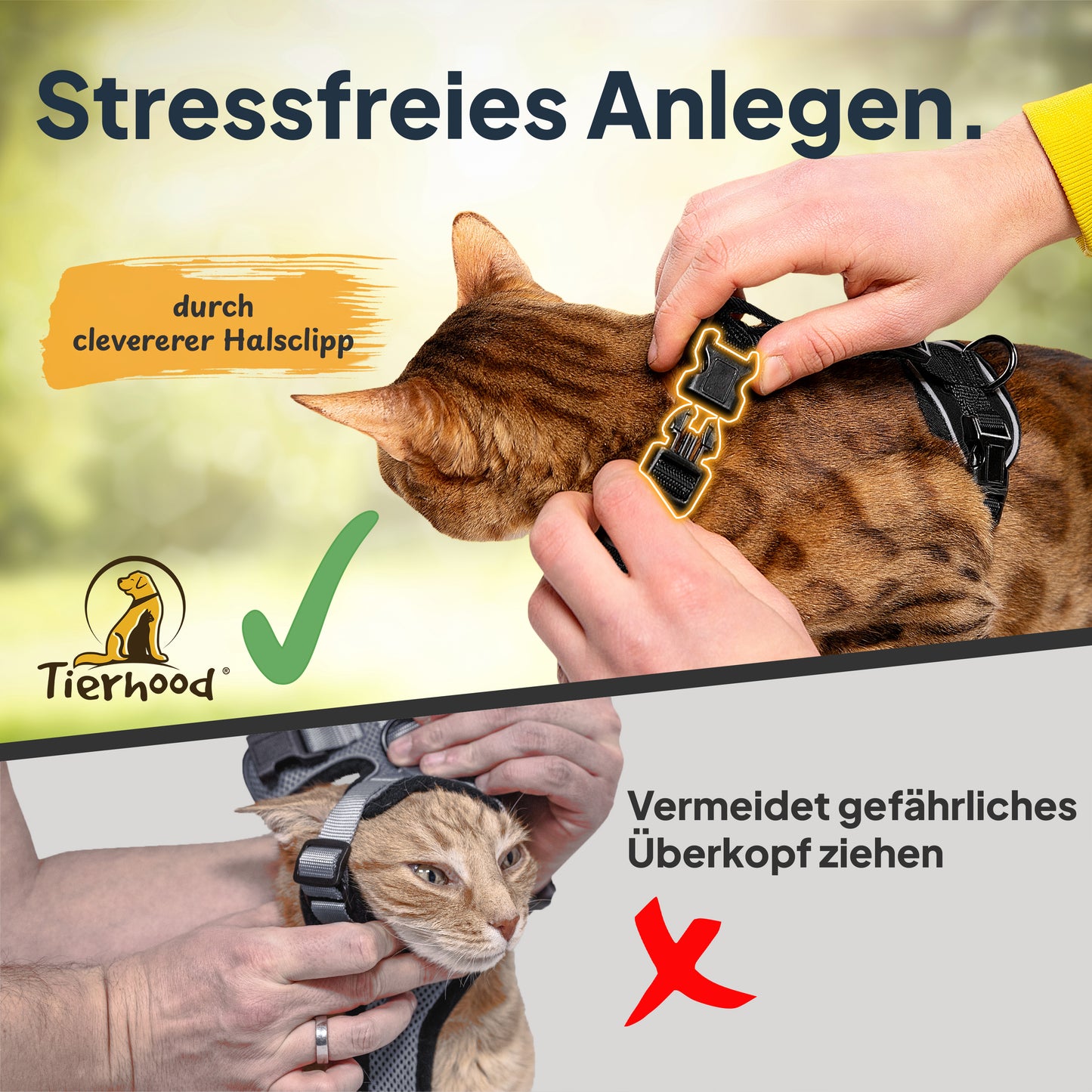 Katzengeschirr-Set mit Leine
