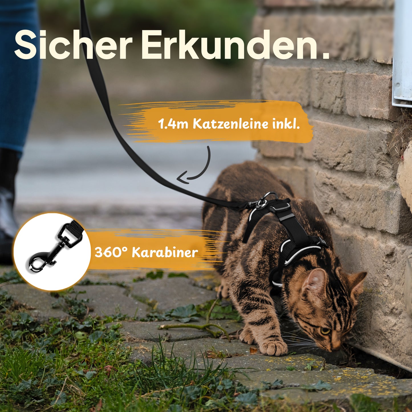 Katzengeschirr-Set mit Leine