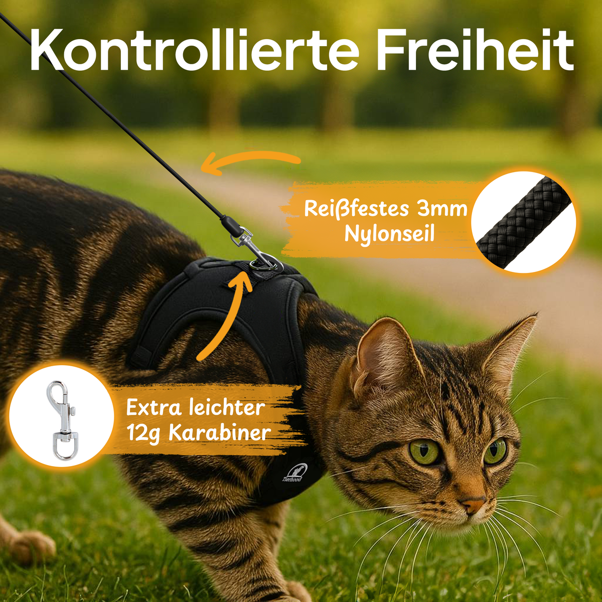 Mini Rollleine - für kontrollierten Auslauf