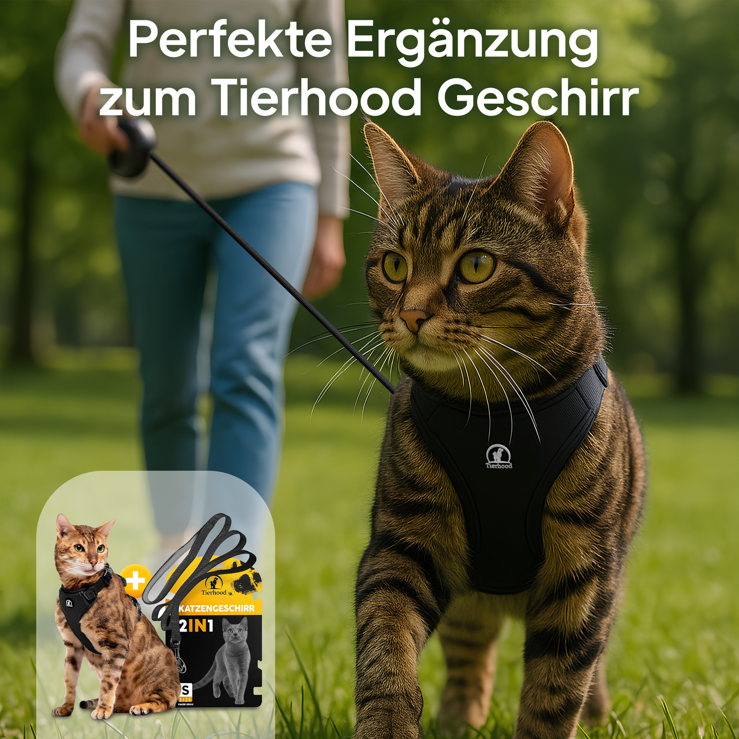 Mini Rollleine - für kontrollierten Auslauf