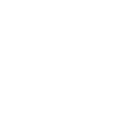 Maximale Sicherheit